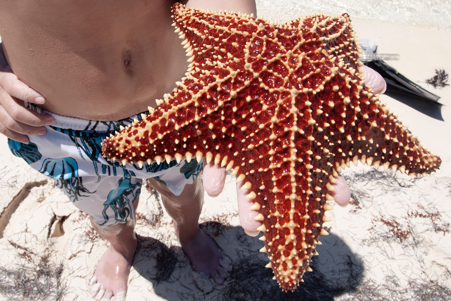 Scenic shoreline near The Blue House